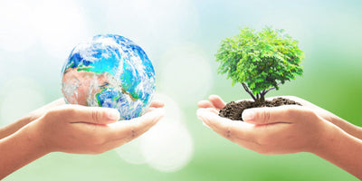 Cada compra tuya es un eco-regalo: ¡un árbol florece gracias a ti!